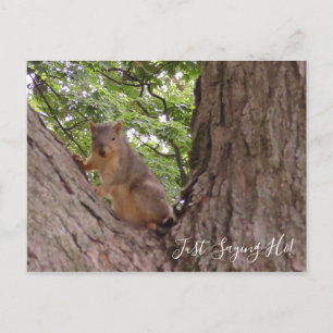 Gewoon Gezegde Hi, Cute Squirrel in Tree Briefkaart