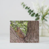 Gewoon Gezegde Hi, Cute Squirrel in Tree Briefkaart (Staand voorkant)