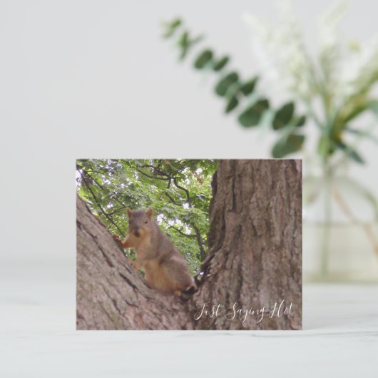 Gewoon Gezegde Hi, Cute Squirrel in Tree Briefkaart (Staand voorkant)