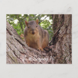 Gewoon Gezegde Hi, Cute Squirrel in Tree Briefkaart