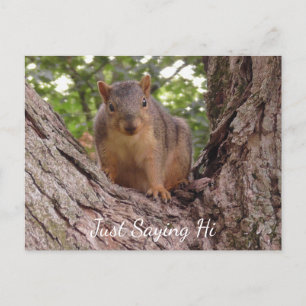 Gewoon Gezegde Hi, Cute Squirrel in Tree Briefkaart