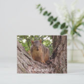 Gewoon Gezegde Hi, Cute Squirrel in Tree Briefkaart (Staand voorkant)