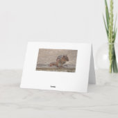 Gewoon gezegde Hi, schattige chipmunk Miss You car Kaart (Achterkant)