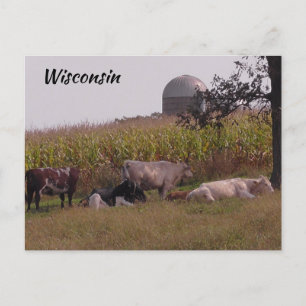 Gewoon Gezegde Hi van Wisconsin Koeien en Boerderi Briefkaart