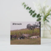 Gewoon Gezegde Hi van Wisconsin Koeien en Boerderi Briefkaart (Staand voorkant)
