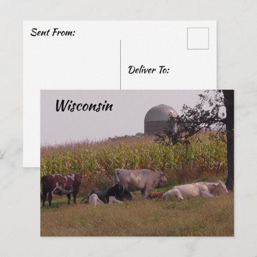 Gewoon Gezegde Hi van Wisconsin Koeien en Boerderi Briefkaart (Voorkant / Achterkant)