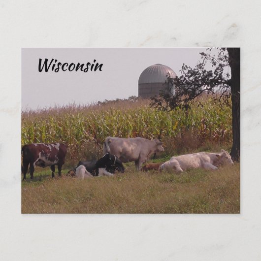 Gewoon Gezegde Hi van Wisconsin Koeien en Boerderi Briefkaart (Voorkant)