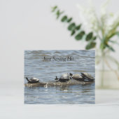 Gewoon Gezegde hoi, Schattigee schildpadden zonneb Briefkaart (Staand voorkant)