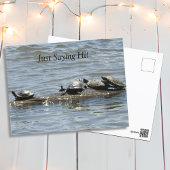 Gewoon Gezegde hoi, Schattigee schildpadden zonneb Briefkaart