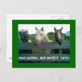 Gewoon gezegde, hooi, howdy, kerel! briefkaart (Voorkant / Achterkant)