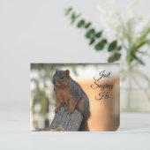 Gewoon Gezegden | Schattigee Eekhoorn Foto Briefkaart (Staand voorkant)