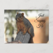 Gewoon Gezegden | Schattigee Eekhoorn Foto Briefkaart (Voorkant)