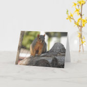 Gewoon Gezegden | Schattigee Eekhoorn Foto Kaart (Gele Bloem)