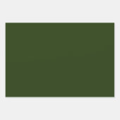 Gewoon groenpapier voor het oppakken van papier inpakpapier vel (Voorkant)