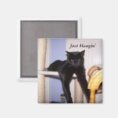 Gewoon Hangin. Magneet (Voorkant / Achterkant)