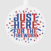 Gewoon hier voor het vuurwerk grappig voor een paa ornament (voorkant)