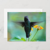 Gewoon Hummin' By om te zeggen Hallo! Briefkaart (Voorkant / Achterkant)