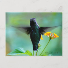 Gewoon Hummin' By om te zeggen Hallo! Briefkaart