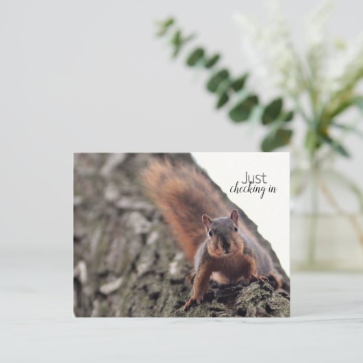 Gewoon in Briefkaart controleren (Staand voorkant)