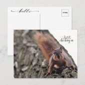 Gewoon in Briefkaart controleren (Voorkant / Achterkant)