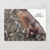 Gewoon in Briefkaart controleren (Voorkant)