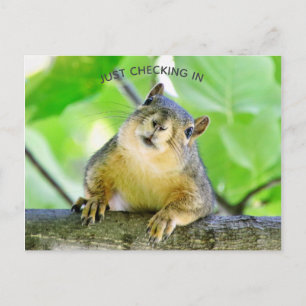 Gewoon inchecken briefkaart