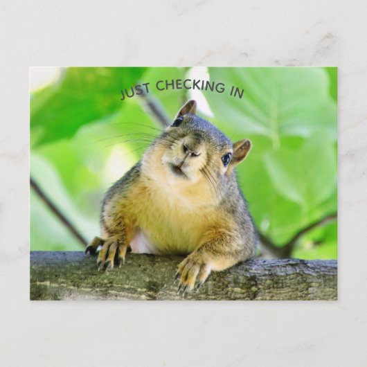 Gewoon inchecken briefkaart (Voorkant)