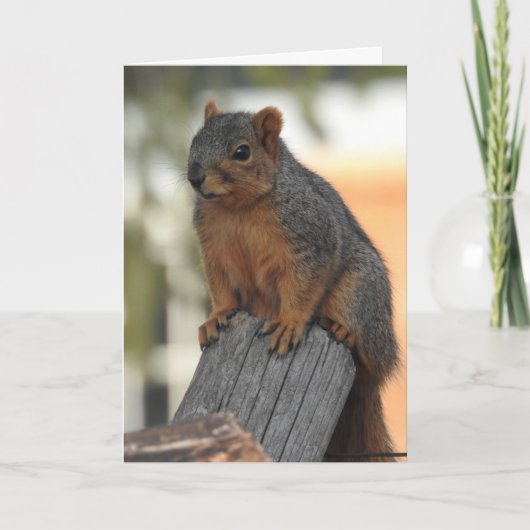 Gewoon inchecken om hoi te zeggen kaart (Voorkant)