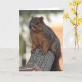 Gewoon inchecken om hoi te zeggen kaart (Gele Bloem)