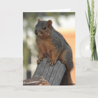 Gewoon inchecken om hoi te zeggen kaart