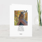 Gewoon je controleren | Cute Squirrel Foto Kaart (Achterkant)