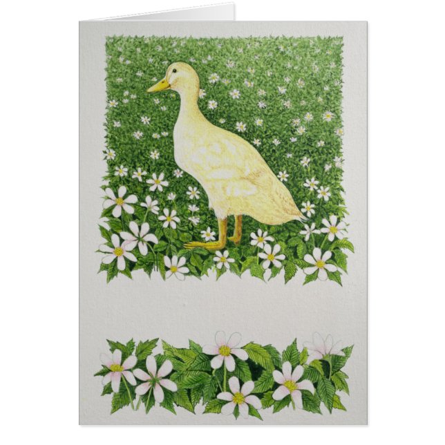 Gewoon kijken (Voorkant)