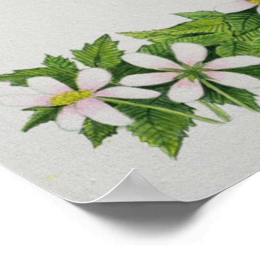 Gewoon kijken poster (Hoek)