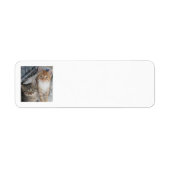 Gewoon Kittens Etiket (Voorkant)