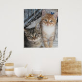 Gewoon Kittens Poster (Keuken)