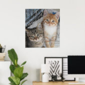 Gewoon Kittens Poster (Thuiskantoor)