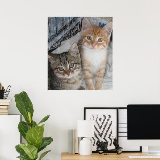 Gewoon Kittens Poster (Thuiskantoor)