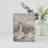 Gewoon kwarail briefkaart (Staand voorkant)