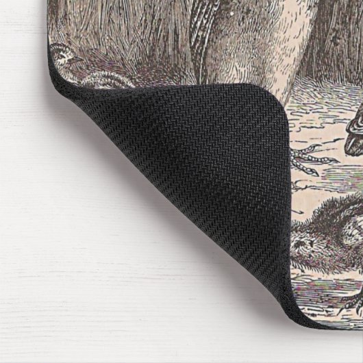 Gewoon kwarail muismat (Hoek)