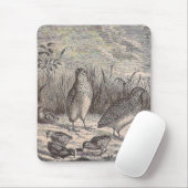 Gewoon kwarail muismat (Met muis)