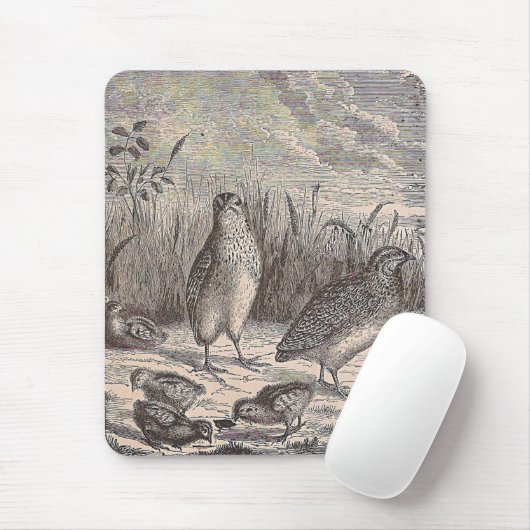 Gewoon kwarail muismat (Met muis)