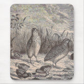 Gewoon kwarail muismat (Voorkant)