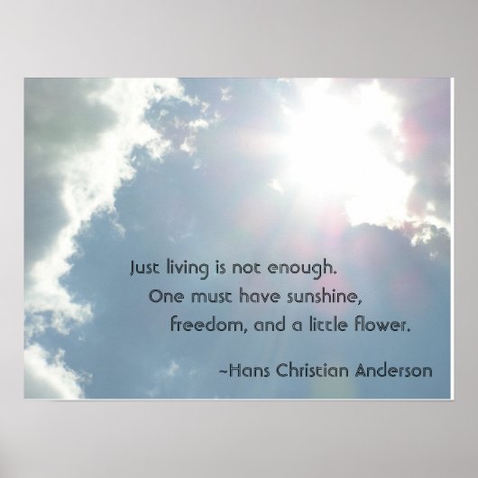 Gewoon leven is niet genoeg. poster (Voorkant)