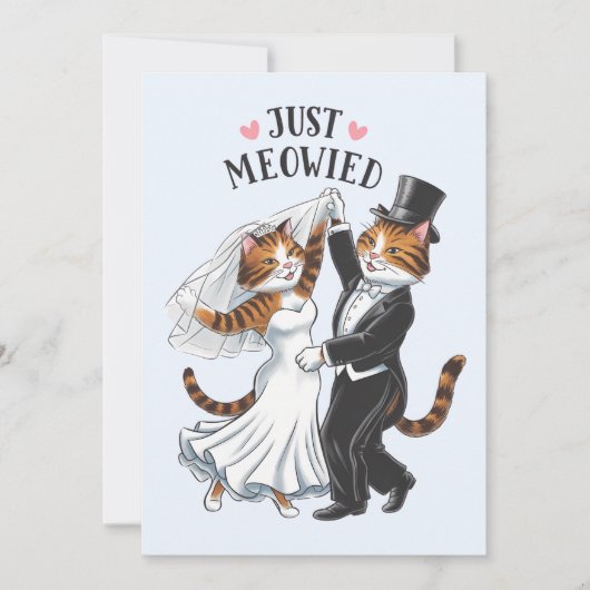 Gewoon Meowied Getrouwde Koppels Kat Grappig Huwel Kaart (Voorkant)