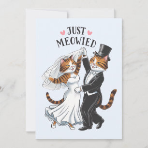 Gewoon Meowied Getrouwde Koppels Kat Grappig Huwel Kaart