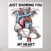 Gewoon mijn hart tonen (hartanatomie) poster (Voorkant)