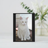 Gewoon Missy Briefkaart (Staand voorkant)