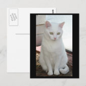 Gewoon Missy Briefkaart (Voorkant / Achterkant)
