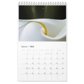 Gewoon mooi: Natuur opnieuw bedacht kalender (Jan 2026)