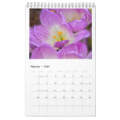 Gewoon mooi: Natuur opnieuw bedacht kalender (Feb 2026)